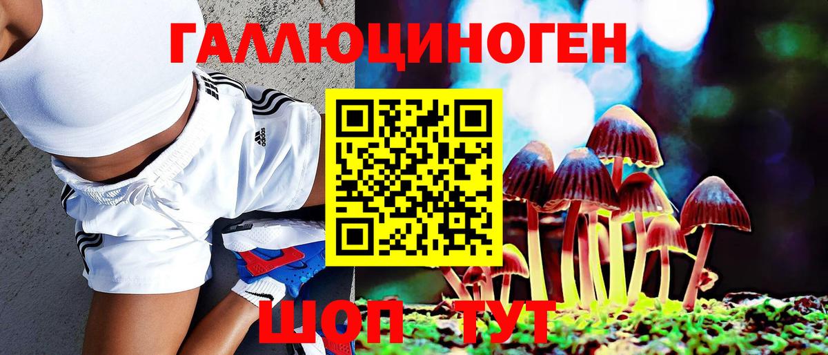 Псилоцибиновые грибы мицелий Балашиха